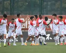 关于罗马辛索队晋级下一轮，壮志凌云的信息